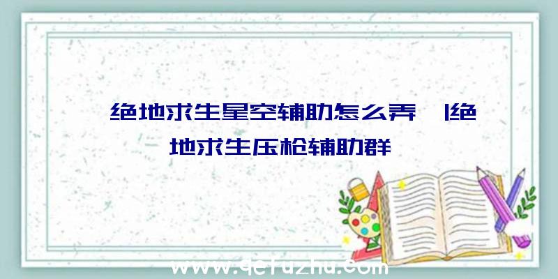 「绝地求生星空辅助怎么弄」|绝地求生压枪辅助群